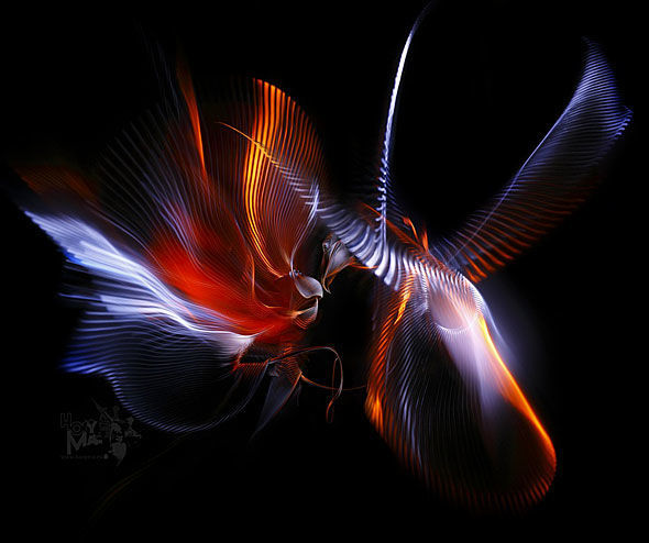 light-graphi7.jpg